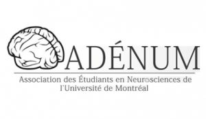 Logo_officiel_adenum_réduit